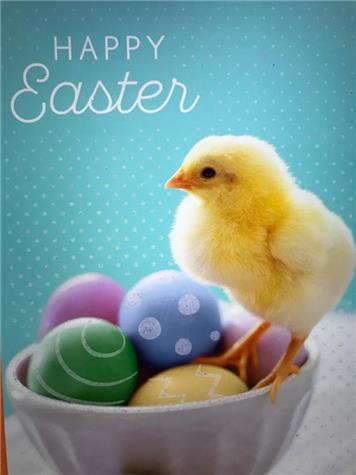 Alton Tennis Club Easter - Happy Easter